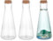 PH PandaHall 18cm Decorative Glass Bottles 2pcs Wishing Bottles Glass Jars with Cork Lids Empty Bottles Swing Top Glass Bottles forFlower Party Favors Wedding Decorations 12.3oz