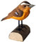 your castle Dekovogel Holzvogel Diademrotschwanz Drossel handgearbeitet aus Lindenholz in Geschenkbox 10 x 9cm