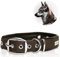 PetTec Halsband für große & kleine Hunde aus Trioflex™ | wetterfest & verstellbar in Farbe | Hundehalsband in Rot, Braun, Schwarz & Leuchtend Orange