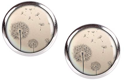 Mylery Ohrstecker Paar mit Motiv Pusteblume Löwenzahn Hundeblume silber 12mm
