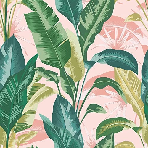 Graham & Brown Envy Leaf It Out Sunrise Tropical Leaf Wallpaper | Paste The Wall Application | Pink Leaf Wallcovering | Eco-Friendly