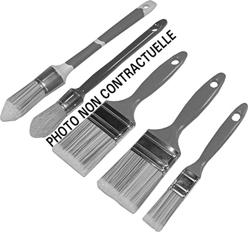 NESPOLI Kit de 5 pinceaux toutes peintures - Outil pour le Bâtiment