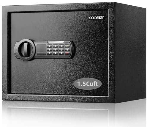GOLDENKEY Coffre-fort personnel avec ancrage mural en acier noir - Petit coffre-fort pour maison, hôtel, bureau, grand coffre-fort pour ordinateur portable, bijoux, documents et objets de valeur, 30 x