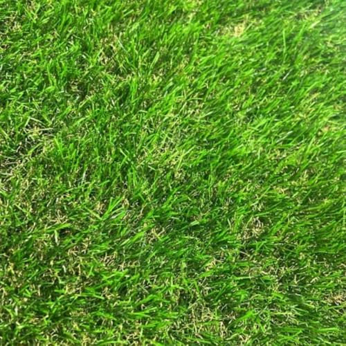 FORTUNATO Prato Sintetico Tappeto Erboso Realistico Morbido Altezza Fili 45 mm Sempre Verde Giardino Vendita A Metro (Larghezza 2 mt)