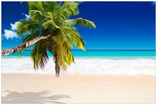 Wallario Premium XXL-Vliestapete Südseestrand in der Karibik mit Palme - Fototapete Größe: 400 x 267 cm