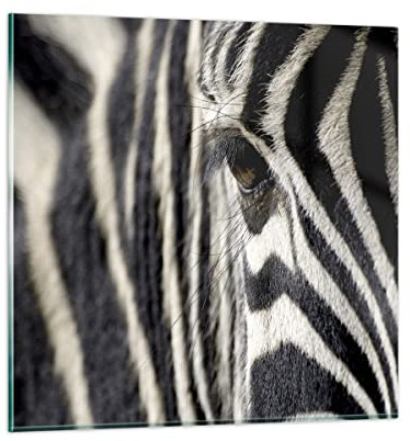 Bilder auf Glas Zebra Streifen Tierwelt Safari Glasbild 30x30cm Wandbilder Dekoration Wohnzimmer Schlafzimmer Küche Deko Klein Wanddeko Bild im Glas Wand Kunstdruck Art Modern Wall Decor GAC30x30-2195
