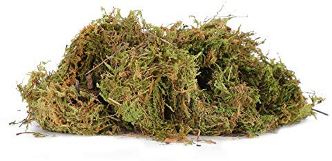 TIKATARER Terrarienmoos, Reptilienmoos, Reptilien-Terrarium-Moos, Grünes Sphagnum-Moos, Substrat, Dekoration, Reptilienzubehör für Leopardgecko, Frosch, Chamäleon, Schlange, Schildkröte