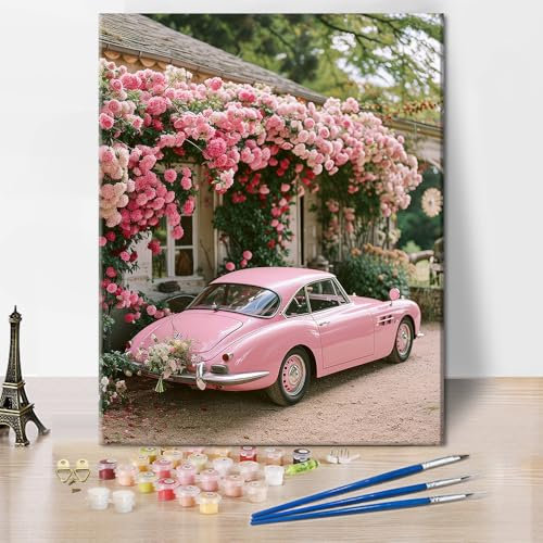 TISHIRON Kit de peinture par numéros pour adultes - Voiture rose - Kit de peinture à fleurs pour débutants - Kit de peinture acrylique par numéros sur toile - Peinture à l'huile - Artisanat - 40 x 50