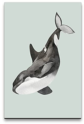 Paul Sinus Art Wandbild auf Leinwand 60x90cm Orca Schwertwal Schwarz Weiß Schlicht Wasserfarben Dekorativ