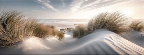 artissimo Glasbild 80x30 cm Bild Strand Dünenlandschaft AG5762A – Meerbild aus Glas, maritimes Wandbild Querformat, Wanddeko Wohnzimmer