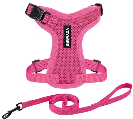 Voyager Step-in Lock Katzengeschirr und reflektierende Katzenleine mit Neoprengriff by Best Pet Supplies - Unterstützt kleine, mittelgroße und große Katzenrassen, Fuchsia, size XXS - 1,5 m