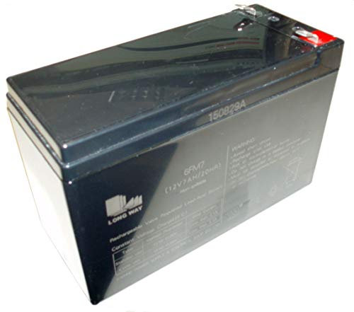 RIRICAR Batterie au Plomb scellée à décharge Profonde 12V7Ah