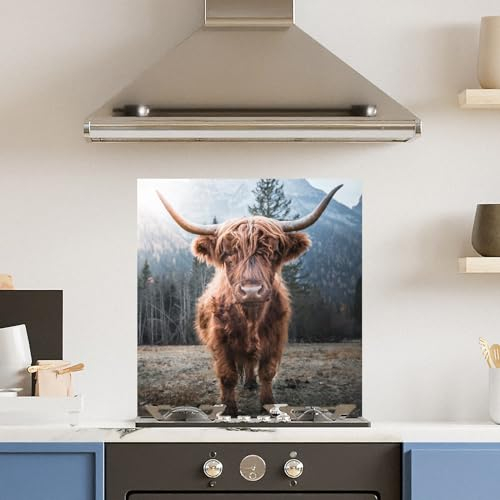 Premium (w)60cm x (h)65cm Highland Cow Glass 6mm Kitchen Splashback Heat Resistant Toughened Polished Edges - Back Splash Back Coloured Hob Painted Tempered Splashback