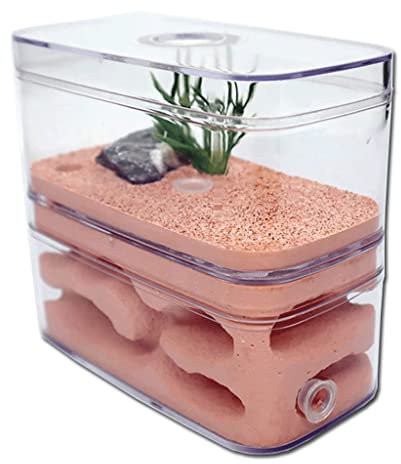 SAAKO Ameisenfarm Ameisenschloss, natürliches Öko-Ameisenhaus, Ameisenfarm, Acrylwerkstatt, Ameisen-Formicarium mit Zuchtbox für Hausameisen-Spielzeug-Kit beobachten