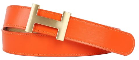 Zakatte • Damen Gürtel aus Kunstleder mit H-Schnalle Hüftgürtel Taillengürtel Damengürtel BS058 (Orange-Gold, 90 cm)
