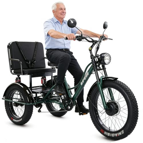 Wasd3Pods Fat-Tire-Dreirad Für Erwachsene Mit Korb – 20-Zoll-Elektro-Dreirad Mit Carbonstahlrahmen – 3-Rädriges Freizeitrad – Elektrisches Lastendreirad Für Senioren Green-withseat