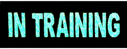 In Training Service Tier Westen/Gurte Emblem Bestickter Glühen Im Dunklen Aufnäher mit Haken- und Flauschbänder
