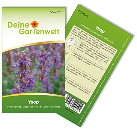 Ysop Mehrjährig Samen - Hyssopus officinalis - Ysopsamen - Kräutersamen - Saatgut für 150 Pflanzen