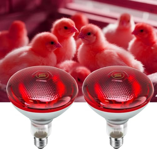 GlintBay 250W Infrared Light Bulb, E27 Infrared Heat Lamp Bulb, Heat Lamp Bulb for Poultry, 250W Chicks Infrared Heat Lamp