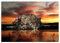 Forwall - Vlies Fototapete Leopard Tiere Tier Afrika Safari Orange 312x219 cm - Fototapeten - Tapeten - für Wohnzimmer Schlafzimmer - Vliestapete Wandtapete Tapete 3D Effekt- inkl. Kleister