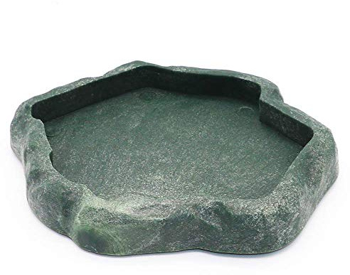 SLSON Small Reptile Feeder Terraium Bowl Plastic Shallow Reptile Feeder for Food and Water Feeding Dish for Lizard Gecko Junior Bearded Dragon,Small Green