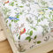 Odot Spannbettlaken für Boxspringbetten, Pflanze Muster Spannbetttücher Mikrofaser bis 25cm, Superweiches Spannbetttuch Bettlaken für Kinder Einzelbett Doppelbett (180x200x25cm,roter Vogel)