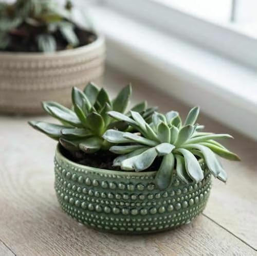 Generic Green Textured Ceramic Bowl Planter, Glazed Dark Green Round Bulb Succulent Pot, Castello Medium Bowl Planters