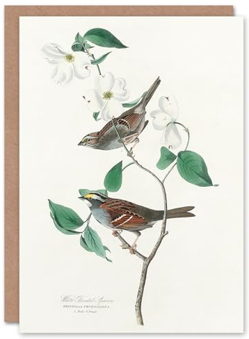 Artery8 John James Audubon Art Card White Throated Sparrow