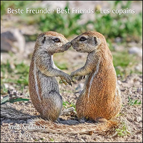 Beste Freunde Best Friends 2021 - Broschürenkalender - Wandkalender - mit herausnehmbarem Poster - Format 30 x 30 cm