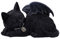 Nemesis Now Katzen-Nickerchen, Schwarz, 18 cm