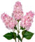 Briful 3er Set Künstliche Hortensien Kunstblumen Wie Echt Frühlingsblumen Rispenhortensie, 73CM Rosa Dekoblumen Kunstzweige für Blumengesteck Home Resto Frühling Dekor
