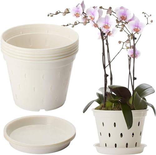 DADEA Confezione da 5 vasi per orchidee, vasi per orchidee da 14 cm, con fori di drenaggio e piattini, in plastica trasparente, per rinvaso, fioriere da giardino per casa e ufficio (5 pezzi, 14 cm)
