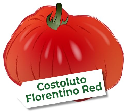 Tomatensamen Costoluto Fiorentino – alte, gerippte Fleischtomate aus Italien | Aromatische, saftig-feste Sorte für Garten & Gewächshaus | 25 Samen – nachhaltig & plastikfrei verpackt | Love My Nature