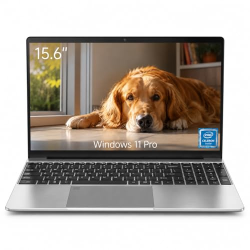 Breloom 2026 PC Portatile da 15.6, Computer Portatile con Win 11 Pro, IPS FHD Notebook Celeron N5095, Laptop 8GB RAM 1TB SSD, USB 3.0, HDMI, 1920x1080, Wi-Fi 5, Impronta/Tastiera retroilluminata