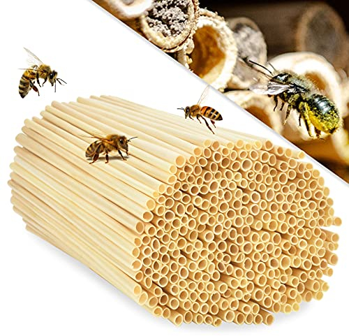 EKKONG 300 STK Nisthülsen für Insektenhotel, 20 cm lang Durchmesser 3-5 mm Nisthülsen für Wildbienen, Insektenhotel Füllmaterial, Weizenhalme füllung für Wildbienenhotel, Bienenhotel Nisthilfen