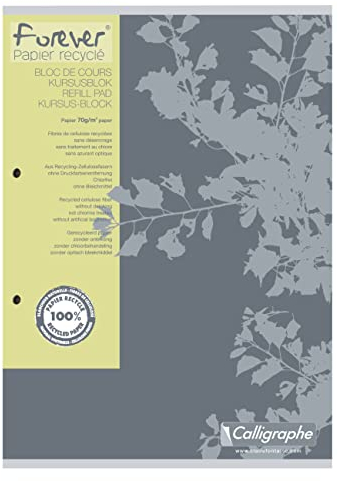 Clairefontaine 17815C - Packung mit 5 Kursusblöcken Forever DIN A4 100 Blatt 70g, 2-fach gelocht, mikroperforiert, kariert mit Rand, farbig sortiert, 1 Pack