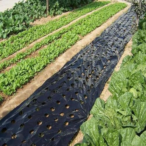 Paillis De Jardin, 10m Toile De Paillage Contre Les Mauvais Her BES,Paillis Perforé, Pla ntes Noires Film PE Perforé pour Jardin Film De Paillage Noir Pare-Vapeur Bâche en Plastique Film
