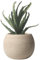 Hbbgdiy Macetas de Plantas de cerámica, macetas Minimalistas de Agua Absorbente con una Gran Apertura y Maceta de cerámica Transpirable para Plantas Interiores y Exteriores, Estilo 1