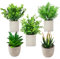 5 Pièces Plantes Artificielles Interieur,Plante artificielle interieur pour décoration de salon de cuisine,Fausse Plante Interieur pour Balcon bureau Decoration salle de bain,Mini plante artificielle
