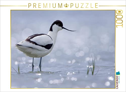 CALVENDO Puzzle Säbelschnäbler (Recurvirostra avosetta) | 1000 Teile Lege-Größe 64 x 48 cm Foto-Puzzle für glückliche Stunden