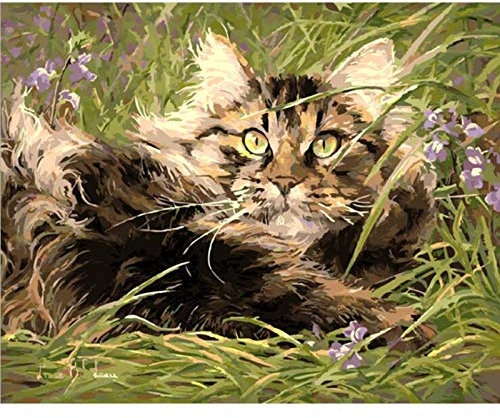 ABEUTY Peinture par numéros à faire soi-même pour adultes débutants - Chat dans l'herbe - 40,6 x 50,8 cm