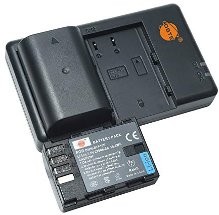 DMW-BLF19E BLF19 Lot de 2 Batteries de Rechange Rechargeables et Chargeur Double Compatible avec Panasonic DC-G9 DC-GH5 DC-GH5s DMC- GH3 DMC-GH4 DMC-GH4R, Sigma BP-61