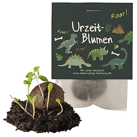 Ideenverlag HAMBURG 10x Dinosaurier Samenbomben Kindergeburtstag Dino Mitgebsel Dinogeburtstag Geschenke Saatbomben Kinder Kleinigkeiten Dino