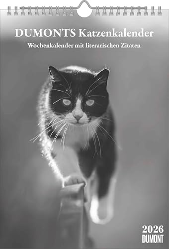 Dumonts literarischer Katzenkalender - Wochenkalender mit 53 Motiven und Zitaten von Marion Schmidt: Mit 53 Katzenporträts und Zitaten