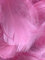 Baby Pink Feathers, 100 Pack