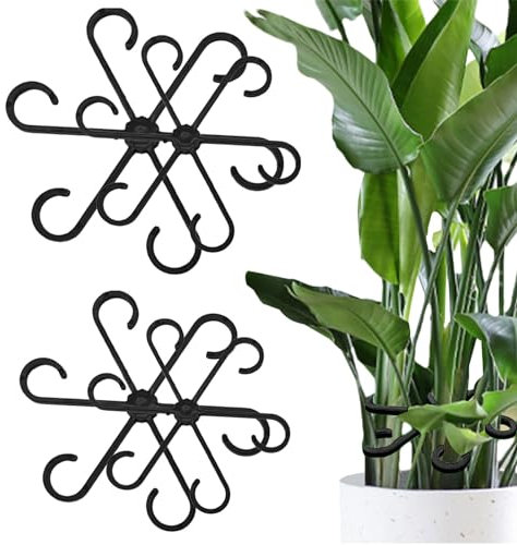Generic Plant Stand, 4pcs Set, Polypropylene (PP), Black, Suitable for 4 Alocasia Monstera Leaves, Stem Support, Garden Stem Support Clip