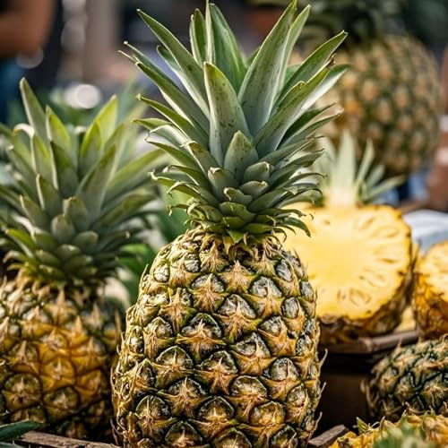 semi di ananas, ananas, giardino roccioso semi rari colonnare da colonnari resistenti di nani giardino 150pcs