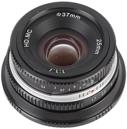 Plyisty 25mm F1.7 Manual Focus Lens, Large Aperture Fixed Prime Lens with Swing Focus Effect for E Mount Cameras A6400 A6500 A6600 A7II A73 (Black)