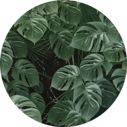 Komar DOT runde und selbstklebende Vlies Fototapete Novel Monstera - Ø Durchmesser 125 cm - 1 Stück - Tapete, Dekoration, Wandtapete, Wandbild, Wandbelag, Designtapete - D1-023