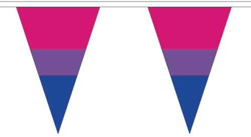 Bi Pride Wimpelkette Pride LGBTQ 5M Dreieck 12 Flaggen FlagSuperstore